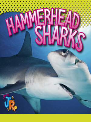 cover image of Hammerhead Sharks